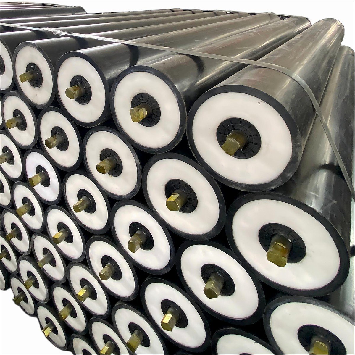 Polymer roller nylon end housings thumbnail
